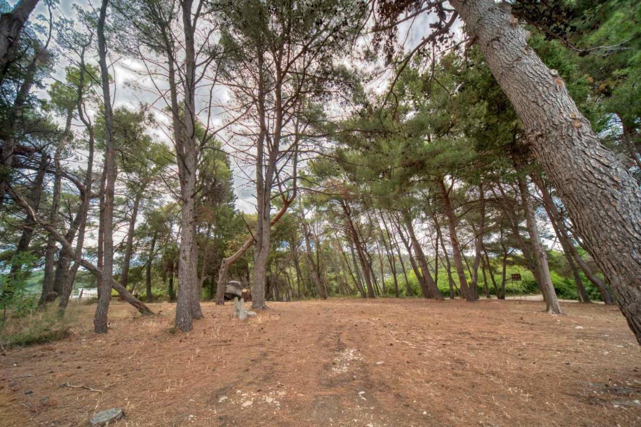 Bor - The Entire Home With Sea View Ulcinj Exterior foto